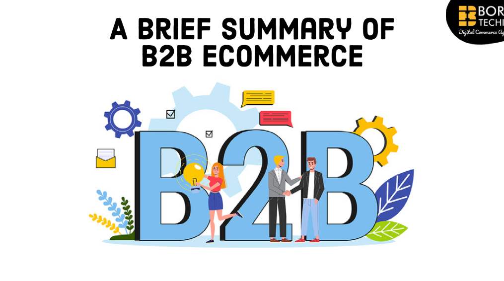 A brief summary of B2B eCommerce